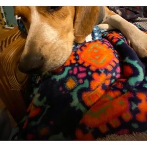 Meet your Posher, Kacey